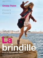 DVD-La brindille