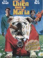 DVD-Un chien dans la mafia
