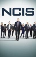 NCIS : Enquêtes spéciales - Saisons 9 à 18