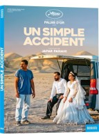Un simple accident (vostfr)