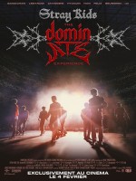 Stray Kids - The dominATE Experience (vostfr)
