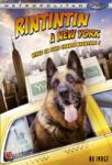 Rintintin &agrave; New York