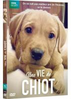 Une Vie de Chiot