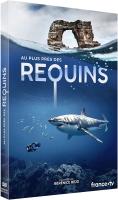 Au plus près des requins