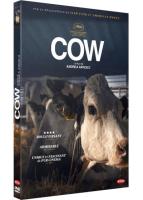 Cow VOSTFR