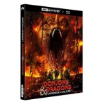 Donjons & Dragons : L'Honneur des voleurs (Réedition 2023) BluRay 4K