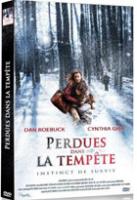 Perdues dans la tempete